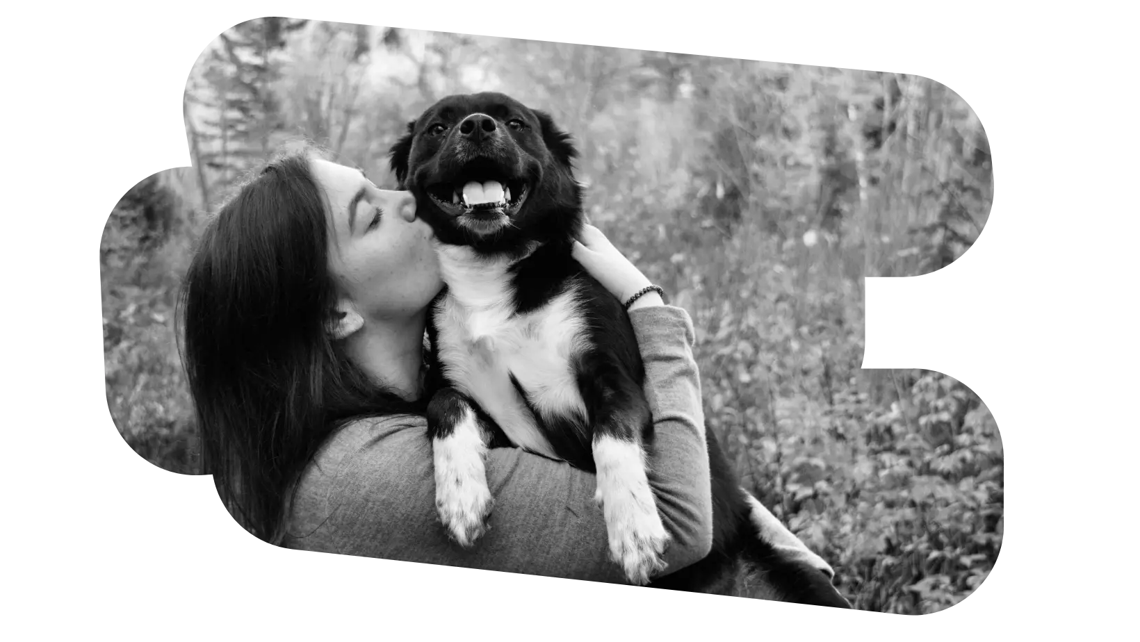 Femme aimante embrassant son chien border collie souriant dans la nature