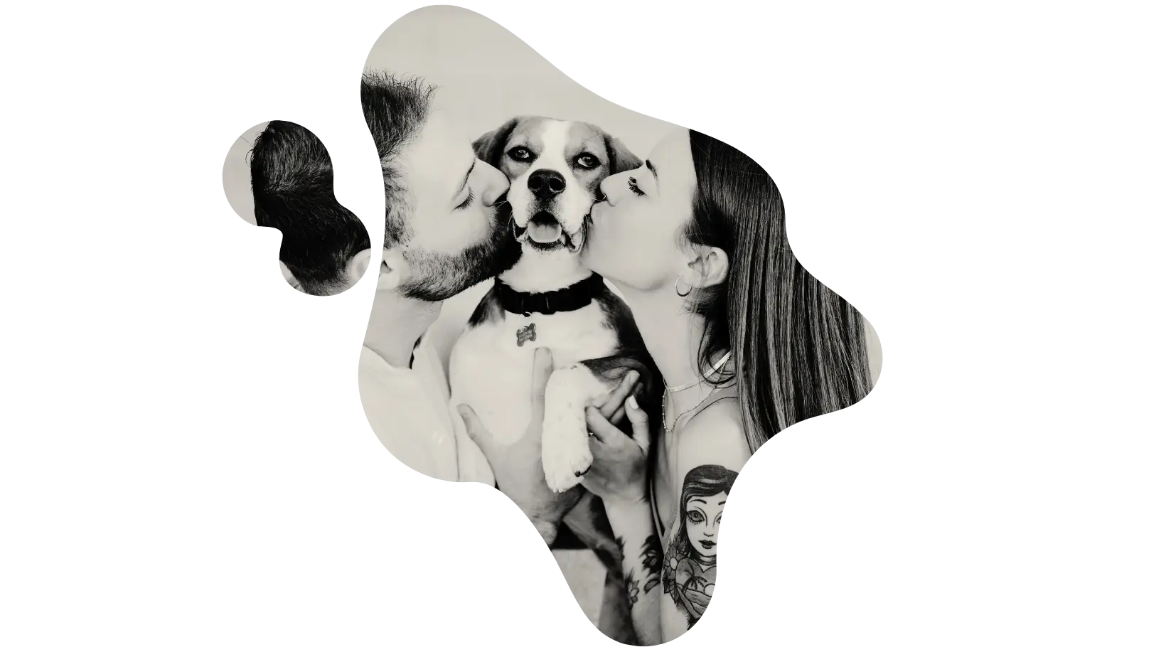 Un couple heureux embrassant leur chien beagle souriant après un toilettage,