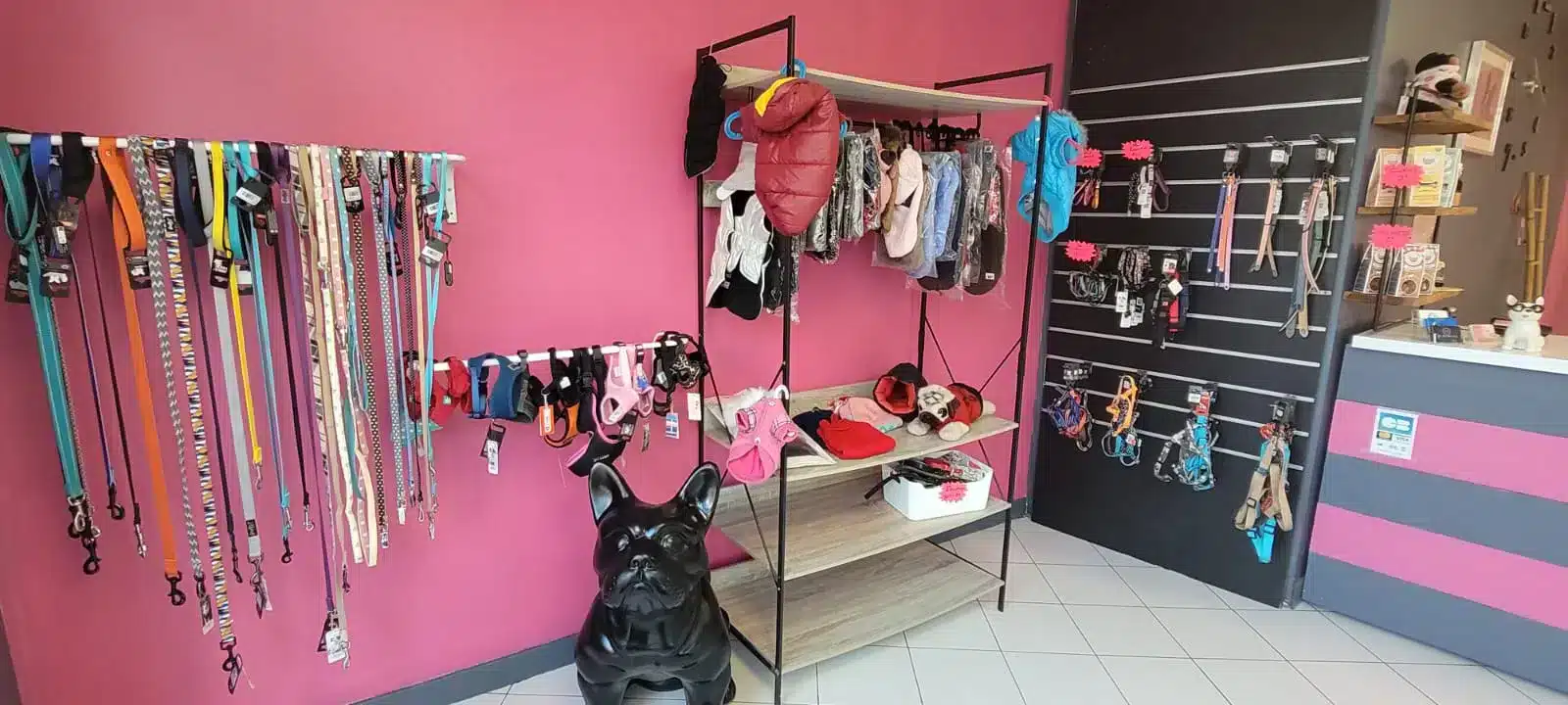 Espace de vente produits de toilettage pour chien à Alès, chez Cani Soins, présentant des produits, comme des shampoings et des jouets,