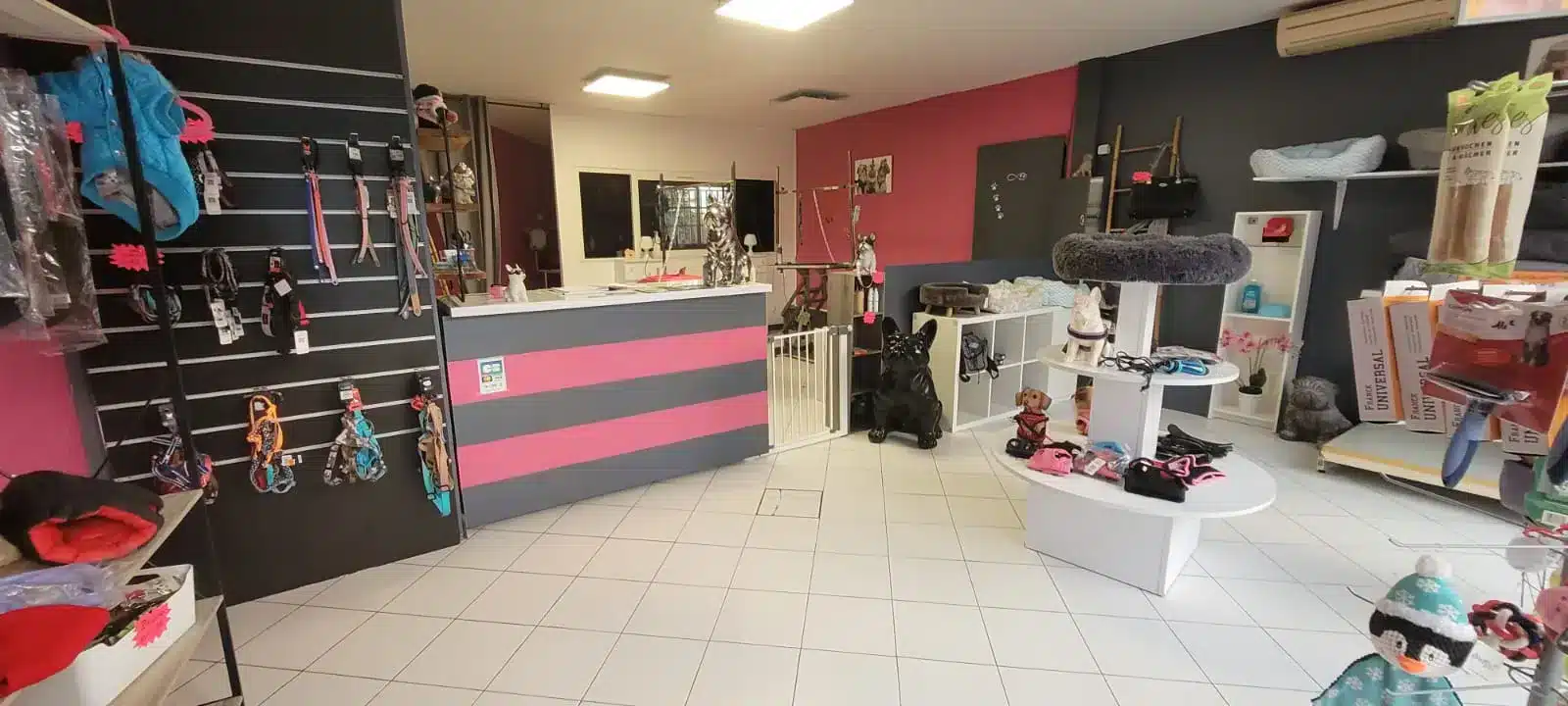 Intérieur du salon de toilettage canin à Alès avec divers paniers pour chiens et accessoires sur des présentoirs, un bulldog en statue au centre sur le sol carrelé, devant l'entrée vitrée donnant sur un parking extérieur.