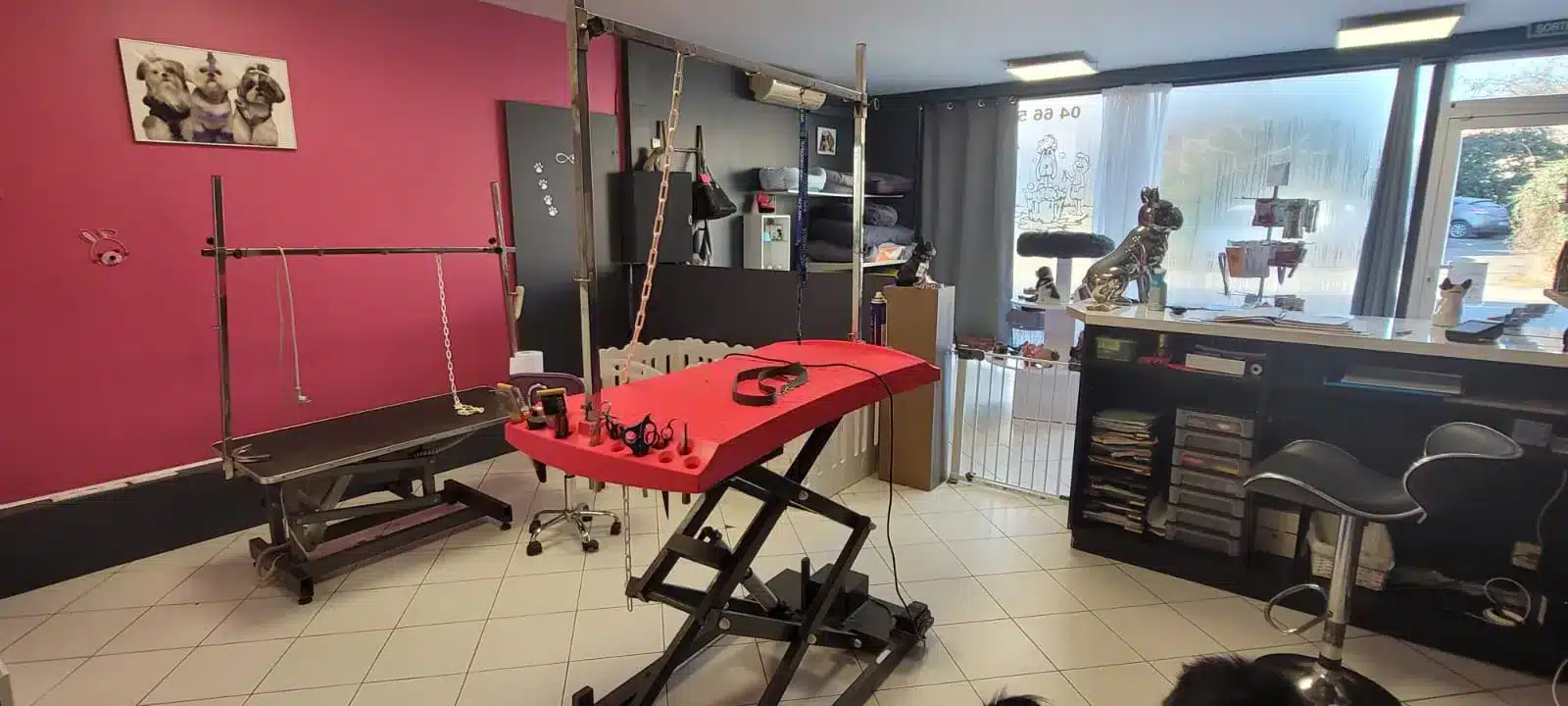 Vue intérieure de la zone de toilettage à Alès, avec plusieurs tables de toilettage équipées de harnais de sécurité, un séchoir professionnel, une baignoire en inox et des étagères avec des produits de toilettage.