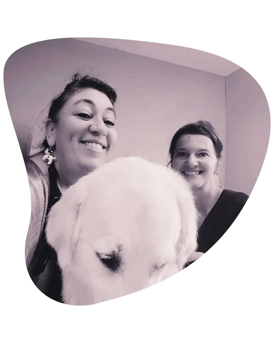 Les co-gérantes du salon Cani Soins, souriantes en noir et blanc toilettent un chien à poils clairs dont la tête est tournée, centré au premier plan, dans une pièce au décor épuré.