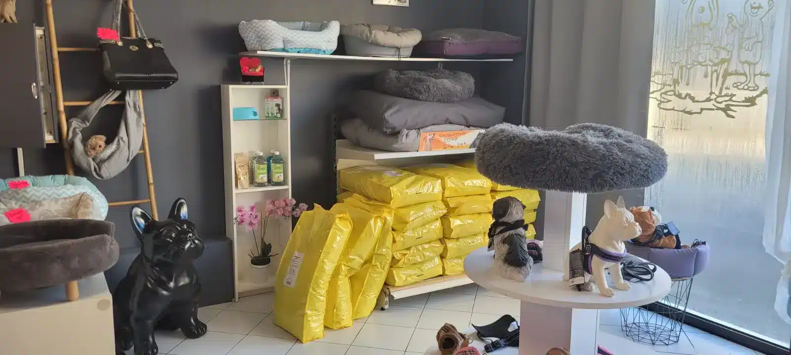 Espace de vente alimentation et accessoires pour chiens à Alès, chez Cani Soins, présentant des produits, comme des croquettes et des paniers,